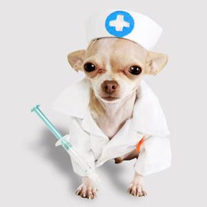 Ветпомощь на дому Гвардейского Ветпомощь на дому Гвардейского